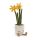 JellyCat plüss nárcisz  - Amuseable Daffodil