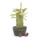 Jellycat plüss bambusz - Jellycat Amuseable Potted Bamboo