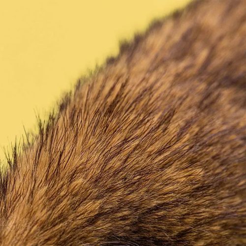 Jellycat Luxe Hoppleston plüss nyuszi - Jellycat Hoppleston Luxe Bunny