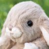 Bukowski Kanini szürkésbarna kis plüss nyuszi - Bukowski Kanini - Taupe Bunny (15cm)