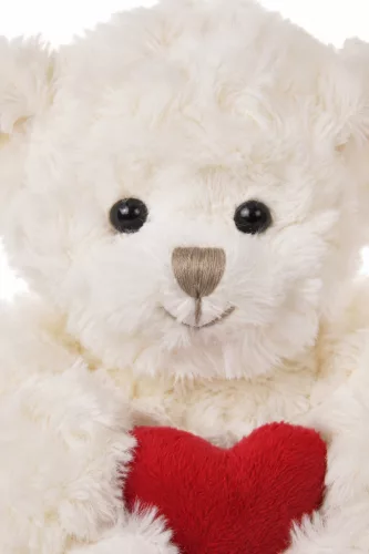 Bukowski Leonard maci szívvel - Bukowski Lovely Leonard Bear