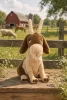Jellycat Glenny a plüss kecske