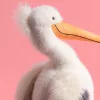 Keli Pelican karakteres Jellycat plüssmadár születésnapi ajándéknak